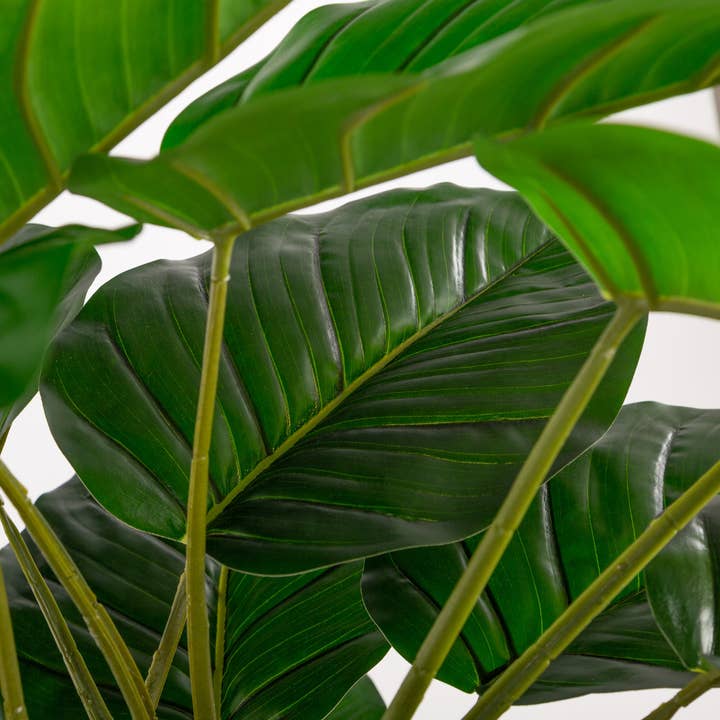 Closer2Nature - Wholesale Artificial Plant - Artificial 4ft Pothos Plant7