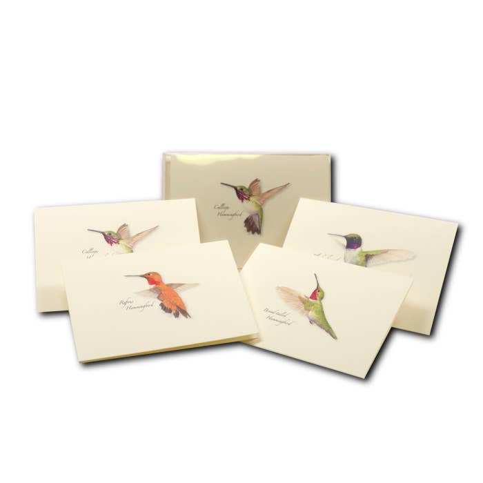 Earth Sky + Water - Wholesale Stationery/Notecard Set - Western Hummingbird Assortment