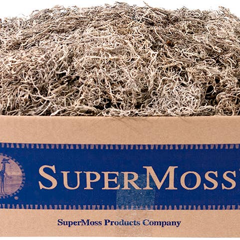 SuperMoss - Wholesale Dried/Pressed Flowers - Spanish Moss PR Bulk 3LB NA