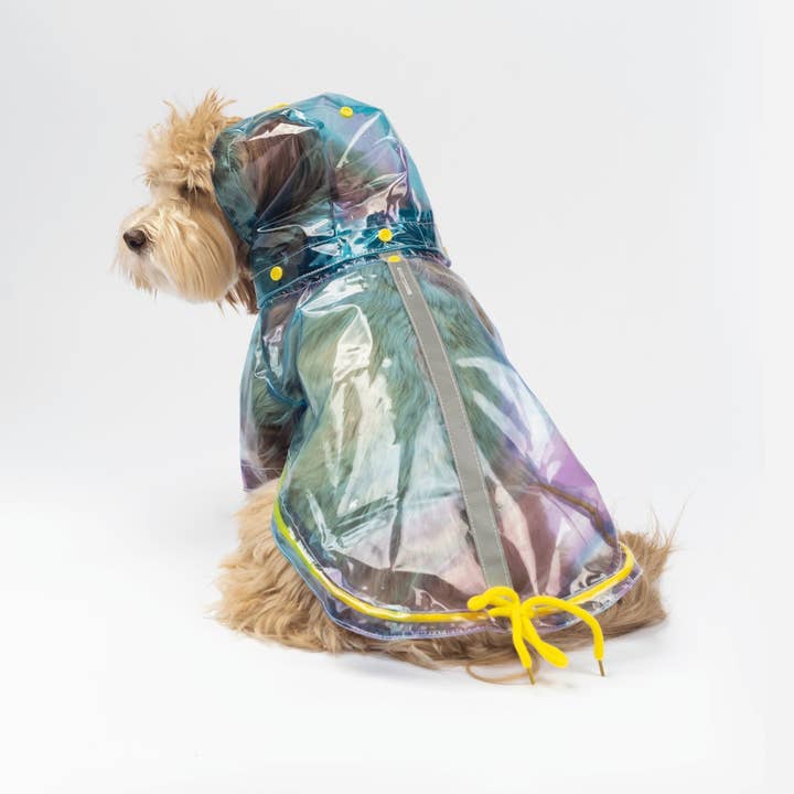 Silver Paw - Wholesale Pet raincoat – Dog - Kinney Dog Translucent Raincoat4