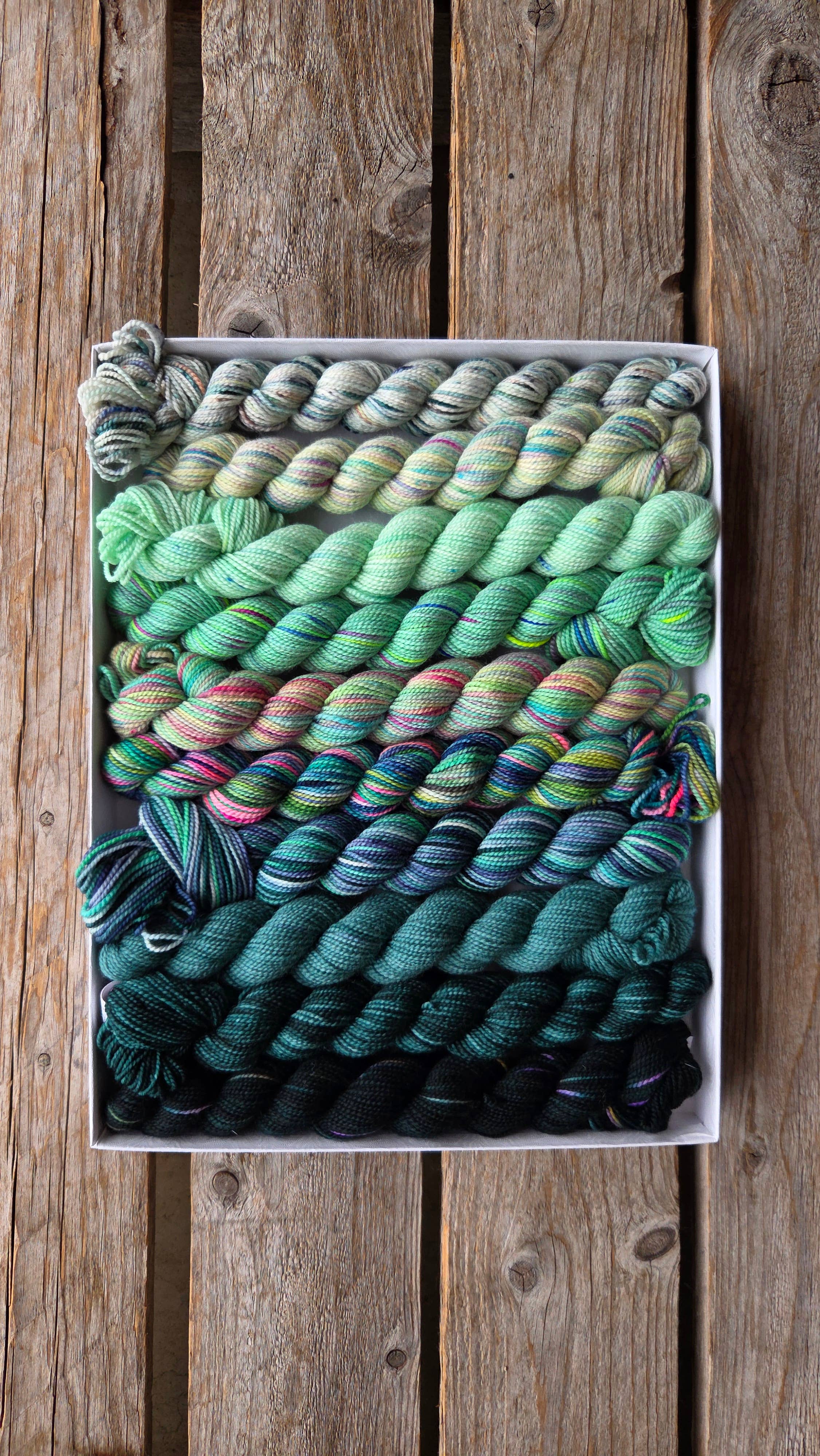 Koigu Wool Designs – wholesale Knitting/Crochet Supplies – Venation Shawl Kits - Pencil Boxes x Ambah 1