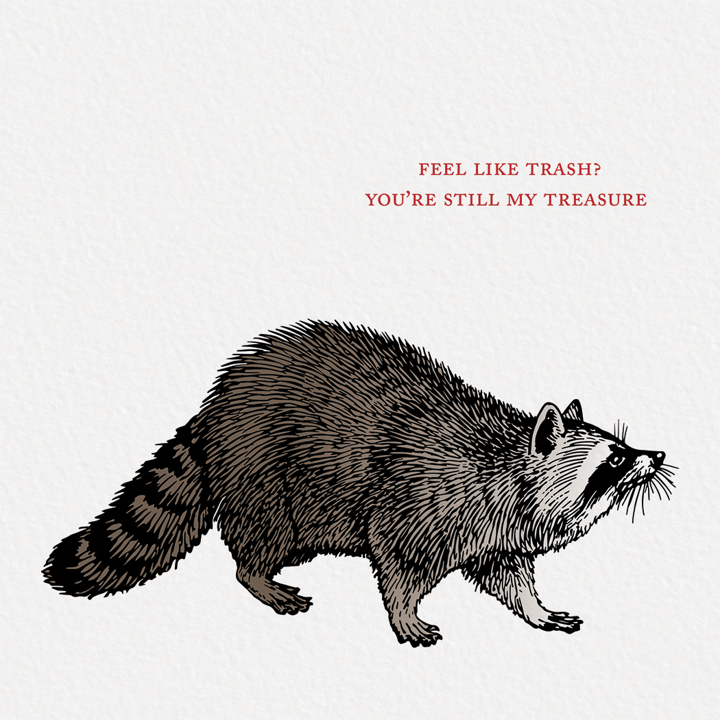 Ampersand M Studio - Wholesale Love Card - My Treasure Raccoon Friendship Greeting Card1