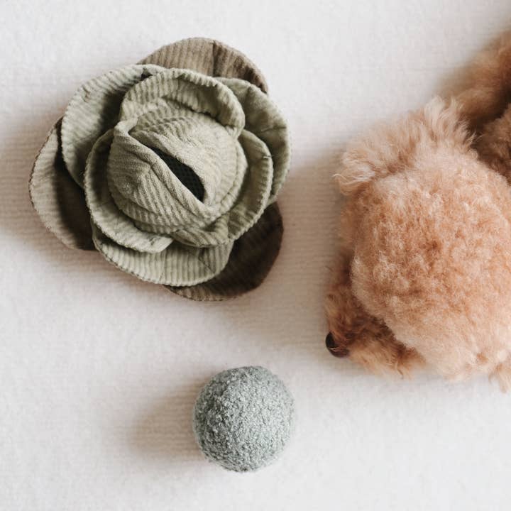 Lambwolf Collective - Wholesale Pet Plush Toy - Dog - CABBAGE POP//ENRICHMENT DOG TOY