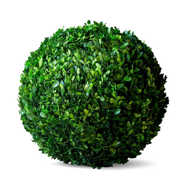 Preserved Boxwood Ball 16" for wholesale by Park Hill Collection