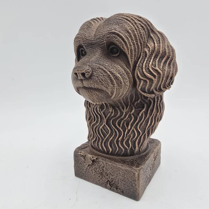 Buste af en Havaneser-hundestatue - boligdekoration til hundeelskere, håndmalet ornament for engroshandel hos 3DijkstraFinds