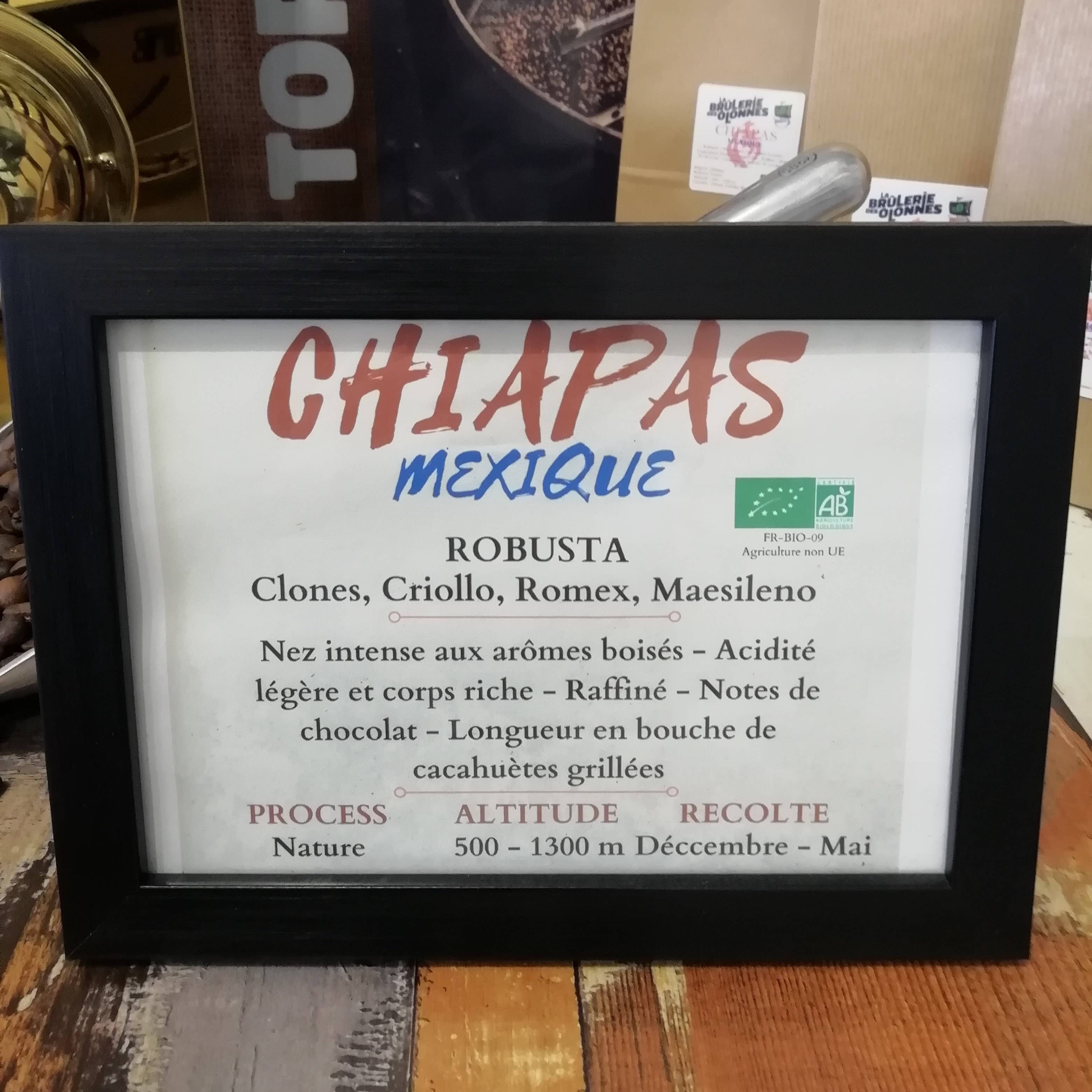 La Brûlerie Des Olonnes - Wholesale Coffee Beans - Mexico - Chiapas Organic - Robusta - 1 kg Ground1