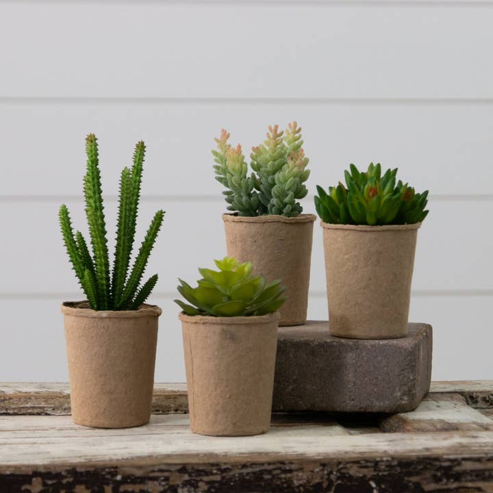 Succulents in Paper Mache Pots (Pk/04 Ast) for wholesale by Audrey's Home & Gift