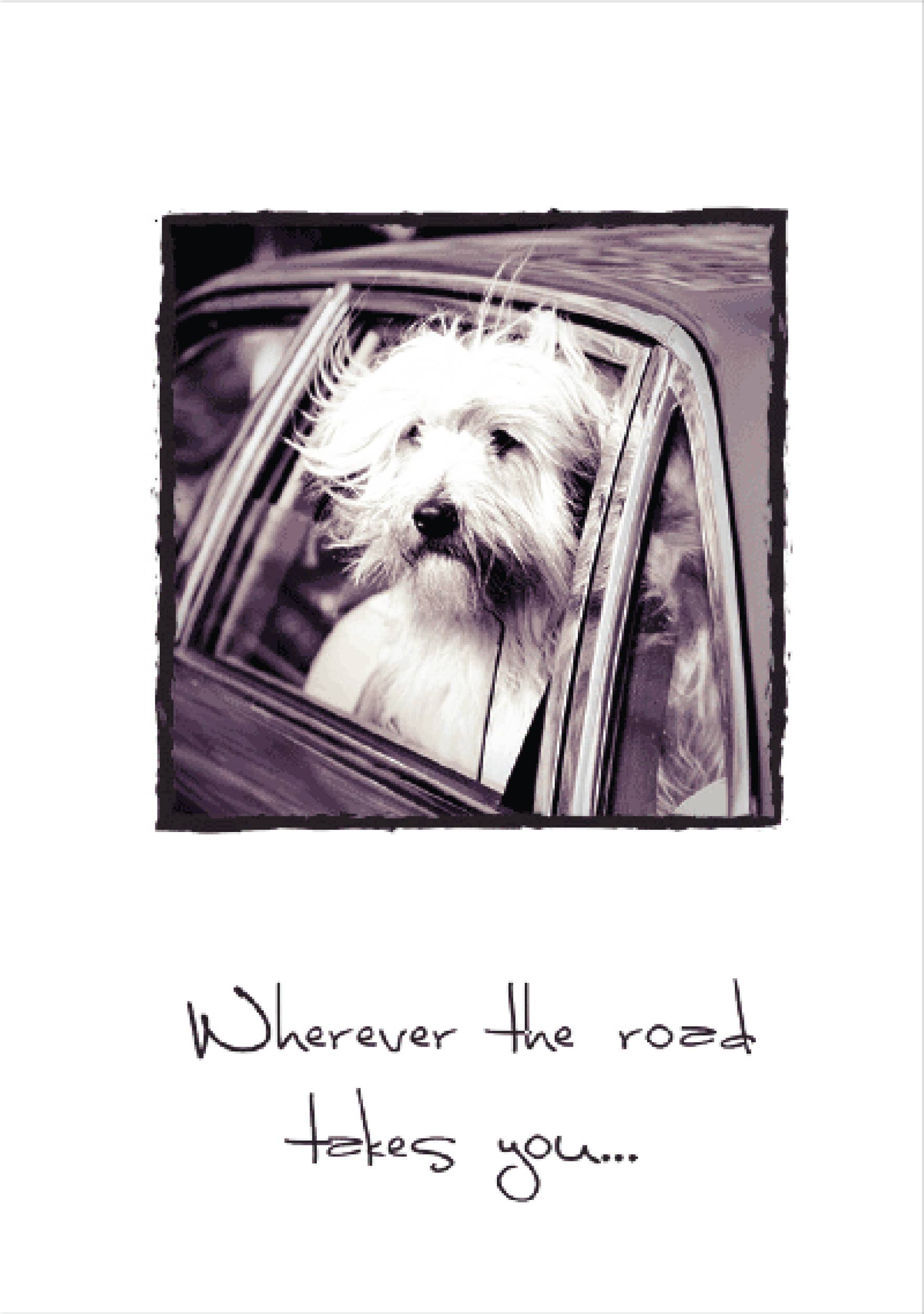 Dog Speak - Wholesale Birthday Card - Birthday - Wherever The Road Takes You3