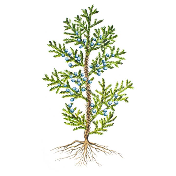 Lucia Care - Wholesale Body Scrub/Exfoliant - Nourishing Salt Scrub4