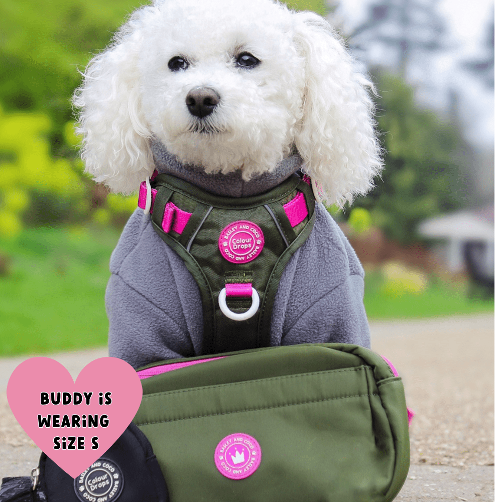 Bailey and Coco - Wholesale Belt Bag - Women's - Magnetic Snap Dog Walking Bum Bag - Olive it Hot9