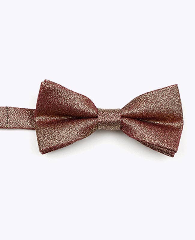 Unipap's – wholesale Flugor – Barn – Brun Glittrig Fluga nr 2 Barn i Polyester "Isidore"3