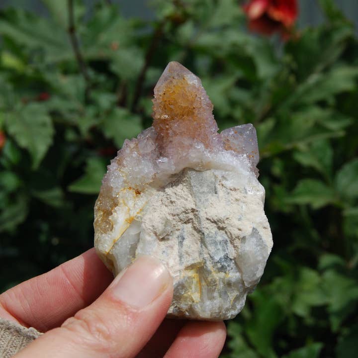Caspar Curiosities - Wholesale Spiritual Stone/Crystal - 3in 150g Amethyst Spirit Quartz Crystal Cluster, Medium Spirit Quartz, South Africa 2