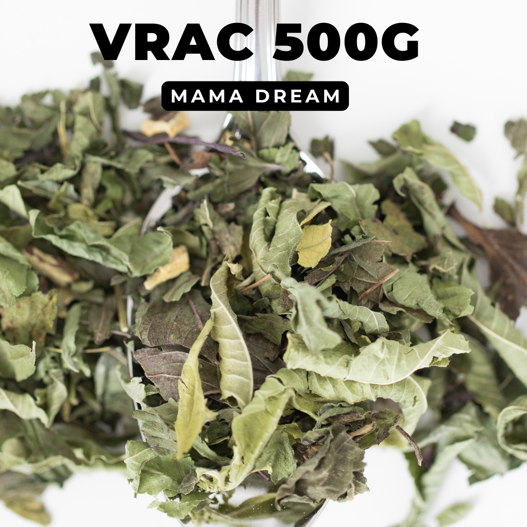 GreenMa - Wholesale Health/Detox Tea - MAMA DREAM - Organic infusion2
