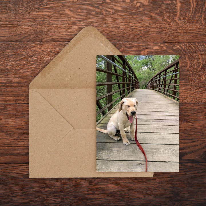 Knäck mig upp kort för wholesale av Tiny Hands Productions