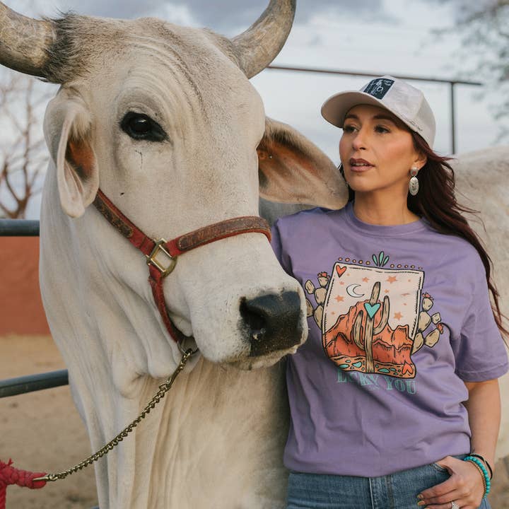 Starter Pack - 6 Assorted Western Tees for wholesale by Modern Cowgirl