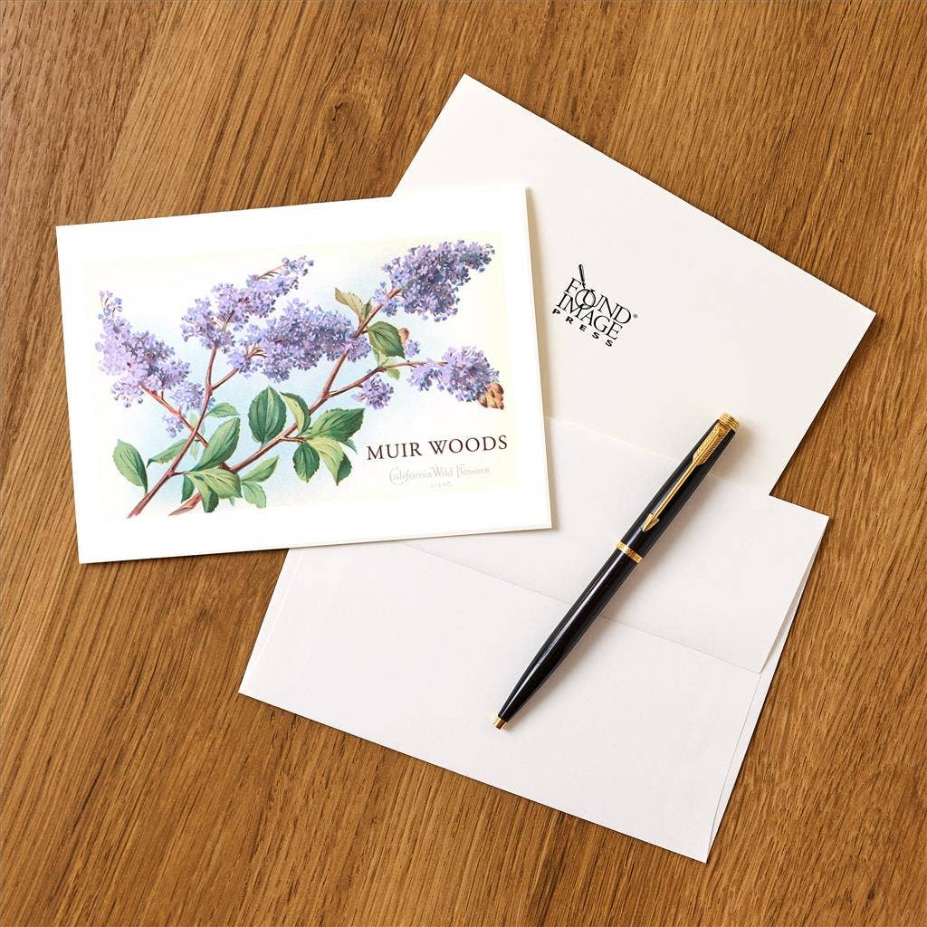 Found Image Press - Wholesale Stationery/Notecard Set - Greeting Card CA-1051 Lilac, Muir Woods, California1