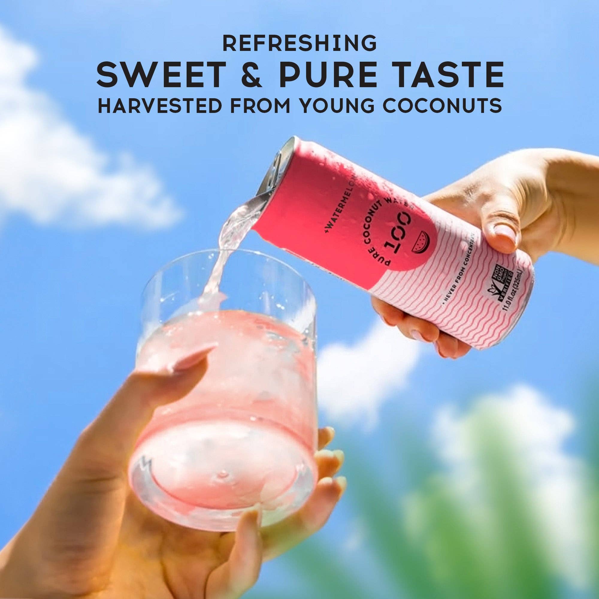 100 Coconuts - Wholesale Flavored/Infused Water (Non-Carbonated) - PURE COCONUT WATER + WATERMELON - 12 Pack7