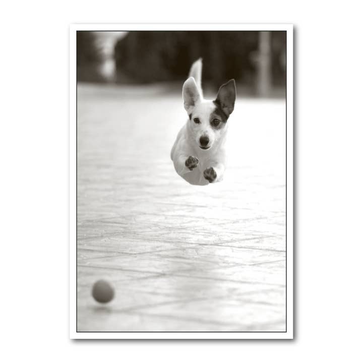 Postal retrato en blanco y negro DIN A6 MG1787 para venta al por mayor de Gutrath Verlag