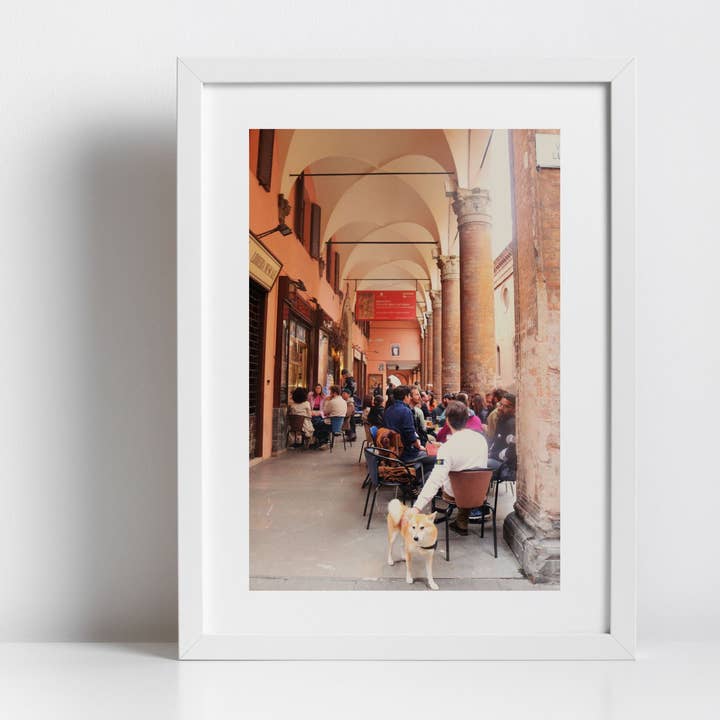 Bologna Italy Dog Photography Print for wholesale by Mo & Paul Photography