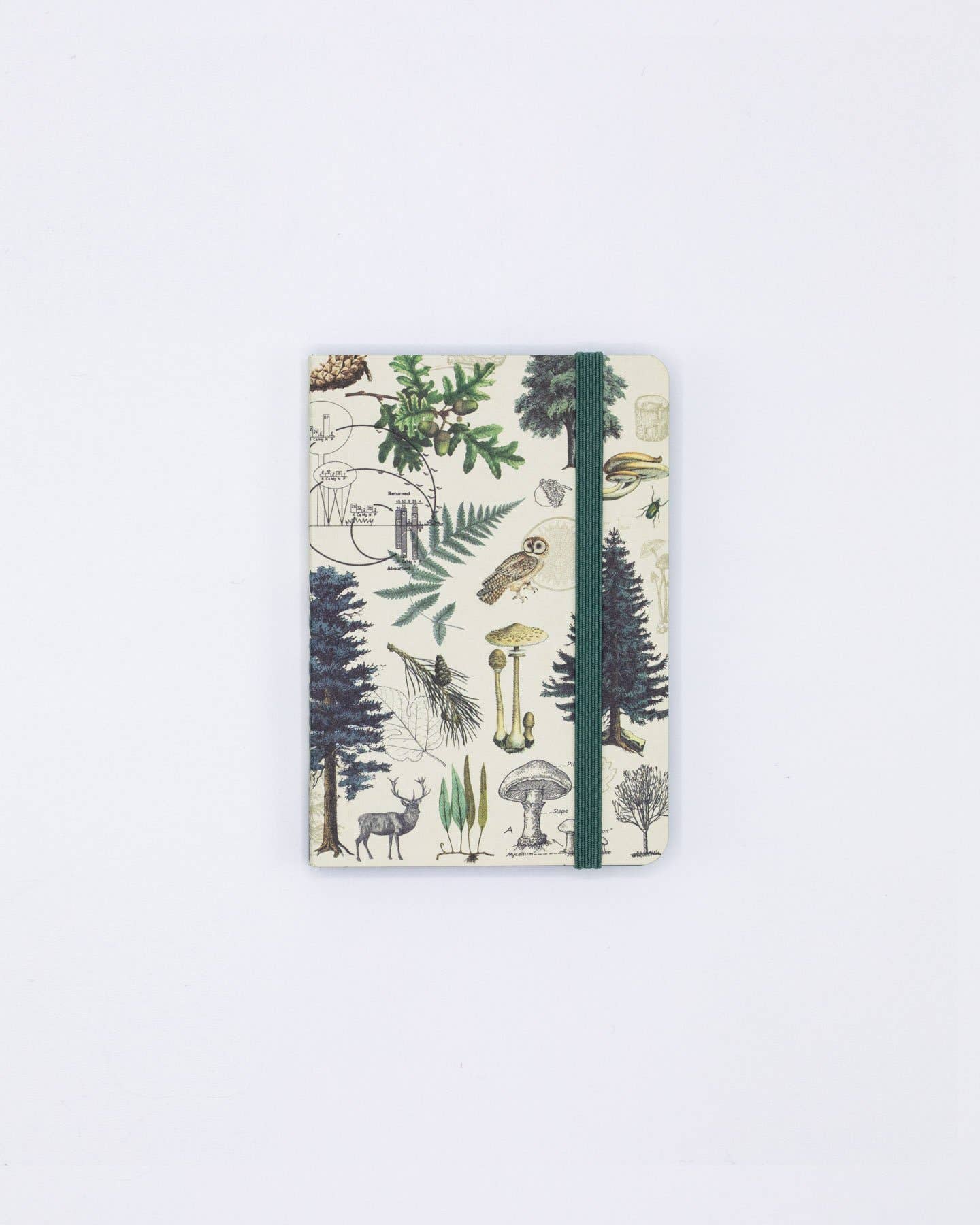 Cognitive Surplus - Wholesale Notebook - Into the Forest Observation Softcover (Case of 6)3