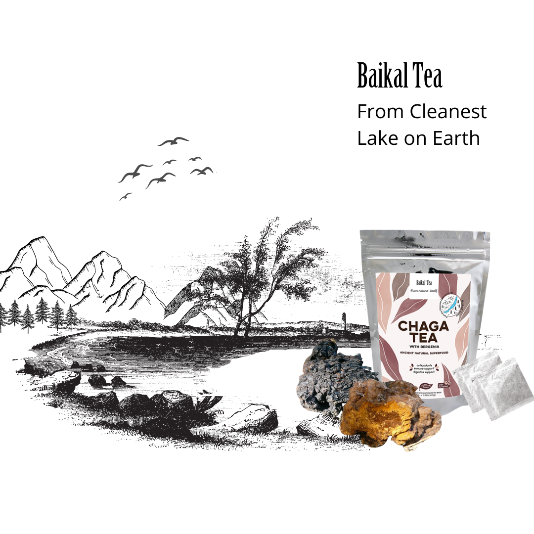 Baikal Tea – Chá de saúde/Detox por atacado – Chá Chaga com Bergenia14