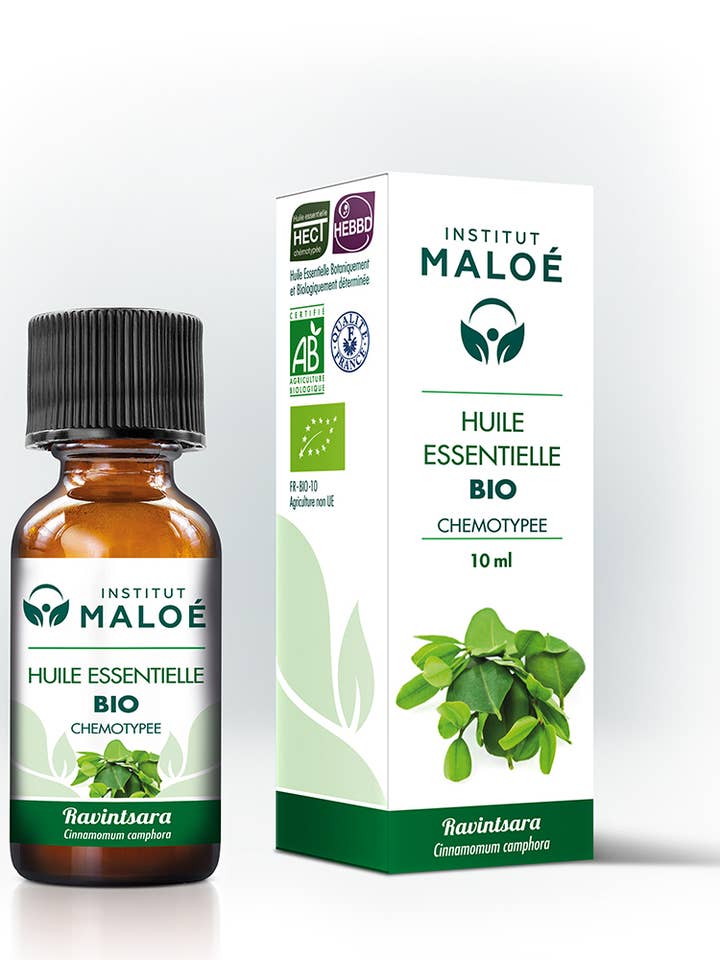 Organic Ravintsara essential oil - 10 mL for wholesale by Institut Maloé