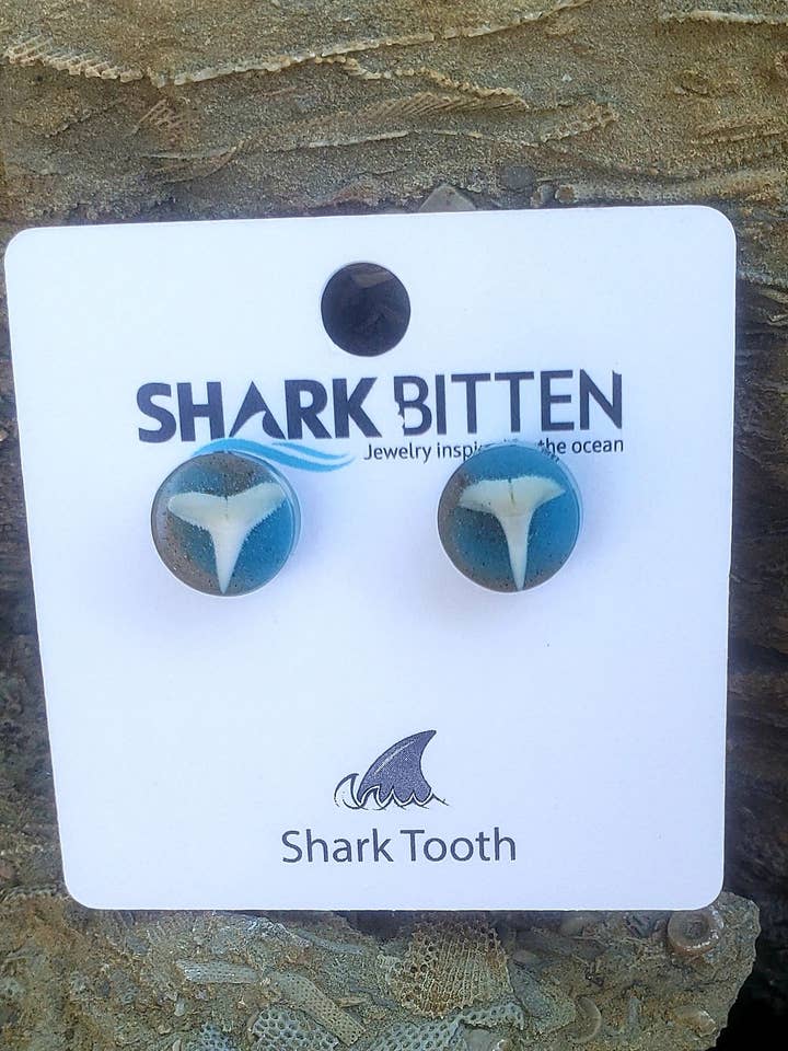 Dente de Tubarão E Cinzas Vulcânicas Com Cor por atacado de Shark Bitten