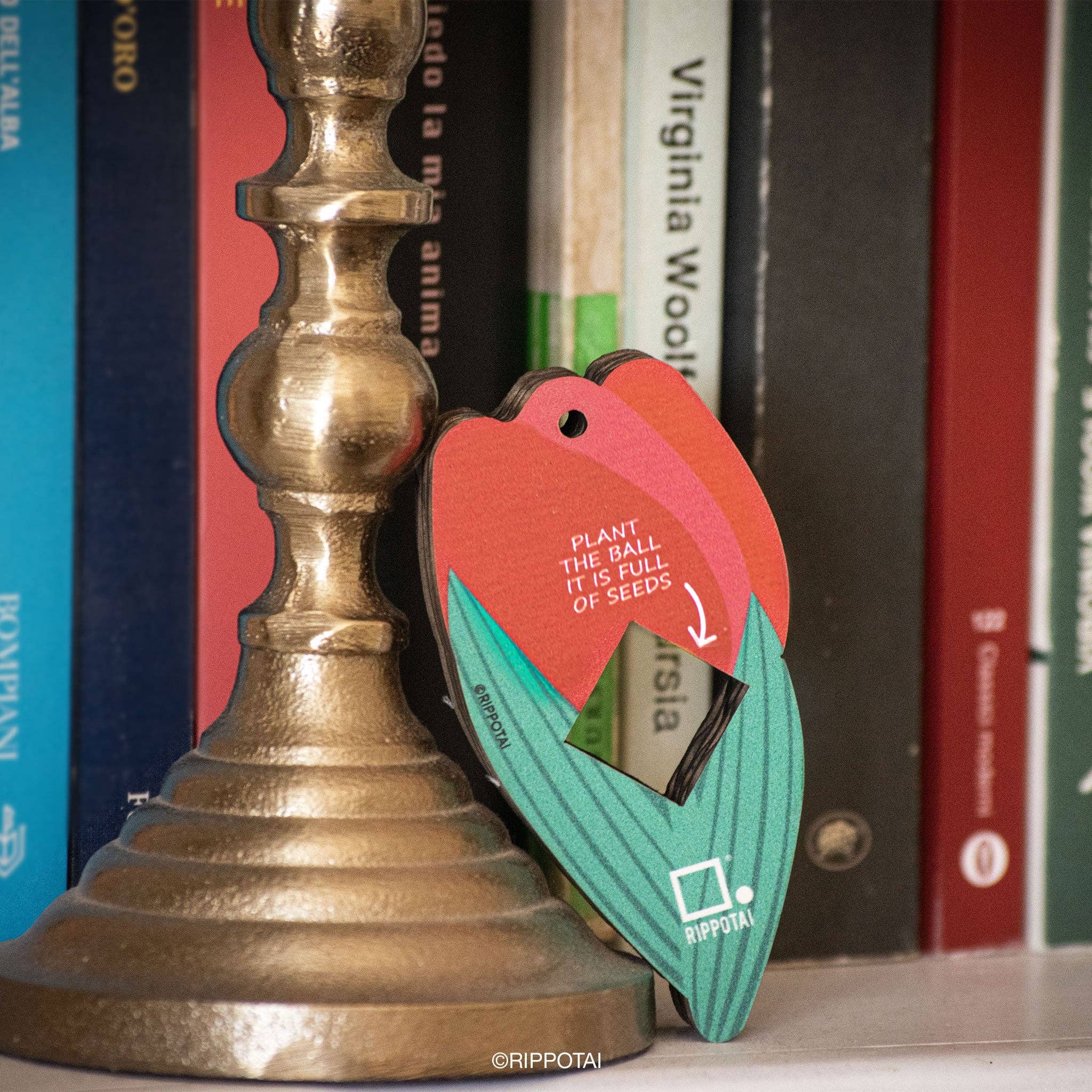 Rippotai – Engroshandel Plantefrø – Blomsterbuketten til at så – miljøvenlig og bæredygtig gaveidé3