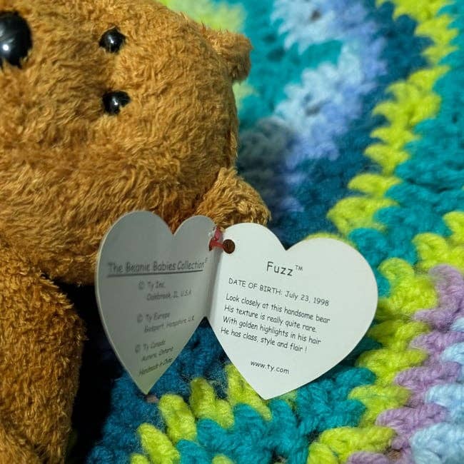 SpillProofLiquid - Wholesale Stuffed/Plush Toy - Kids & Baby - Handmade TY 2 Headed Polycephaly Beanie Baby Bears - Asstd15