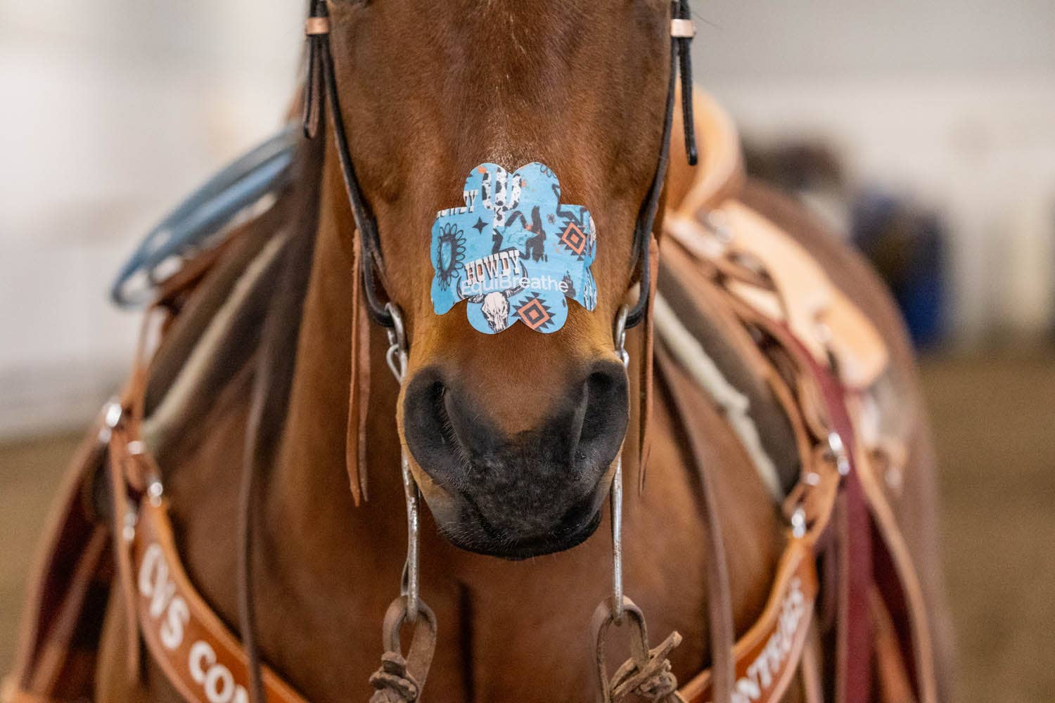 EquiBreathe™ - Wholesale Paardrijuitrusting - EquiBreathe™ Neuspleister voor Paarden - Howdy3