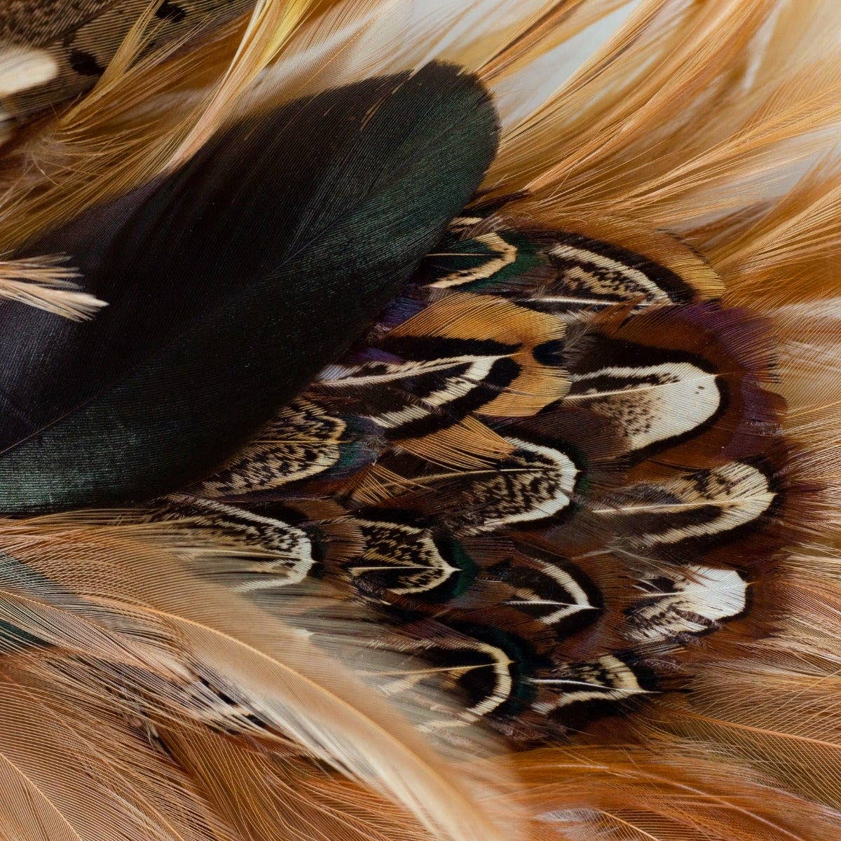 Zucker Feather Products - Wholesale Wreath - Natural Pheasant Feather Wreath - 22 inch4