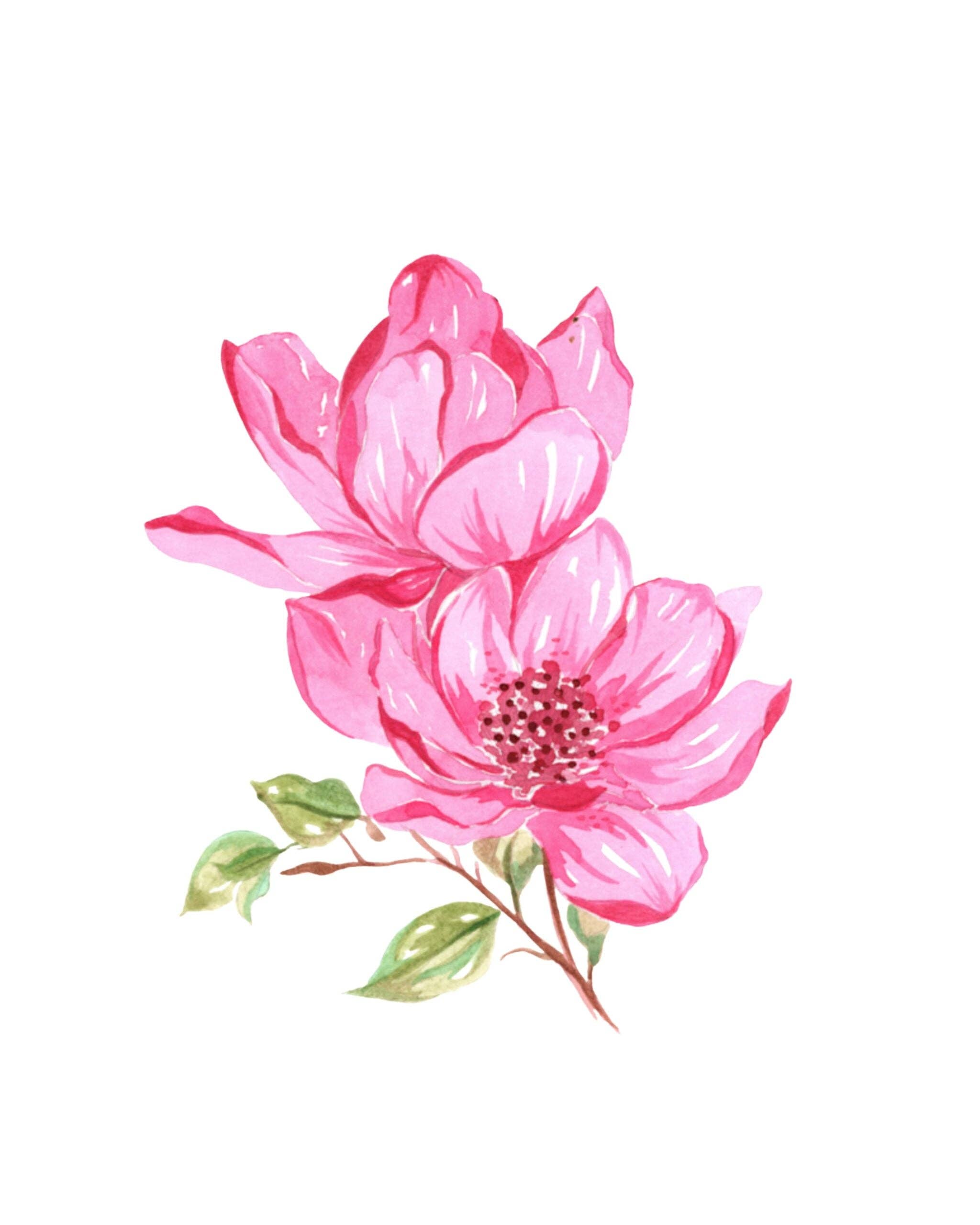 willowwolfe - Wholesale Sketchbook/Sketchpad - Bold Flowers Watercolor Workbook4