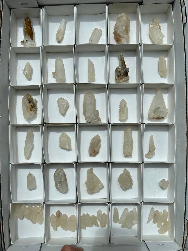 Washington Camp Quart för wholesale av Vugg life