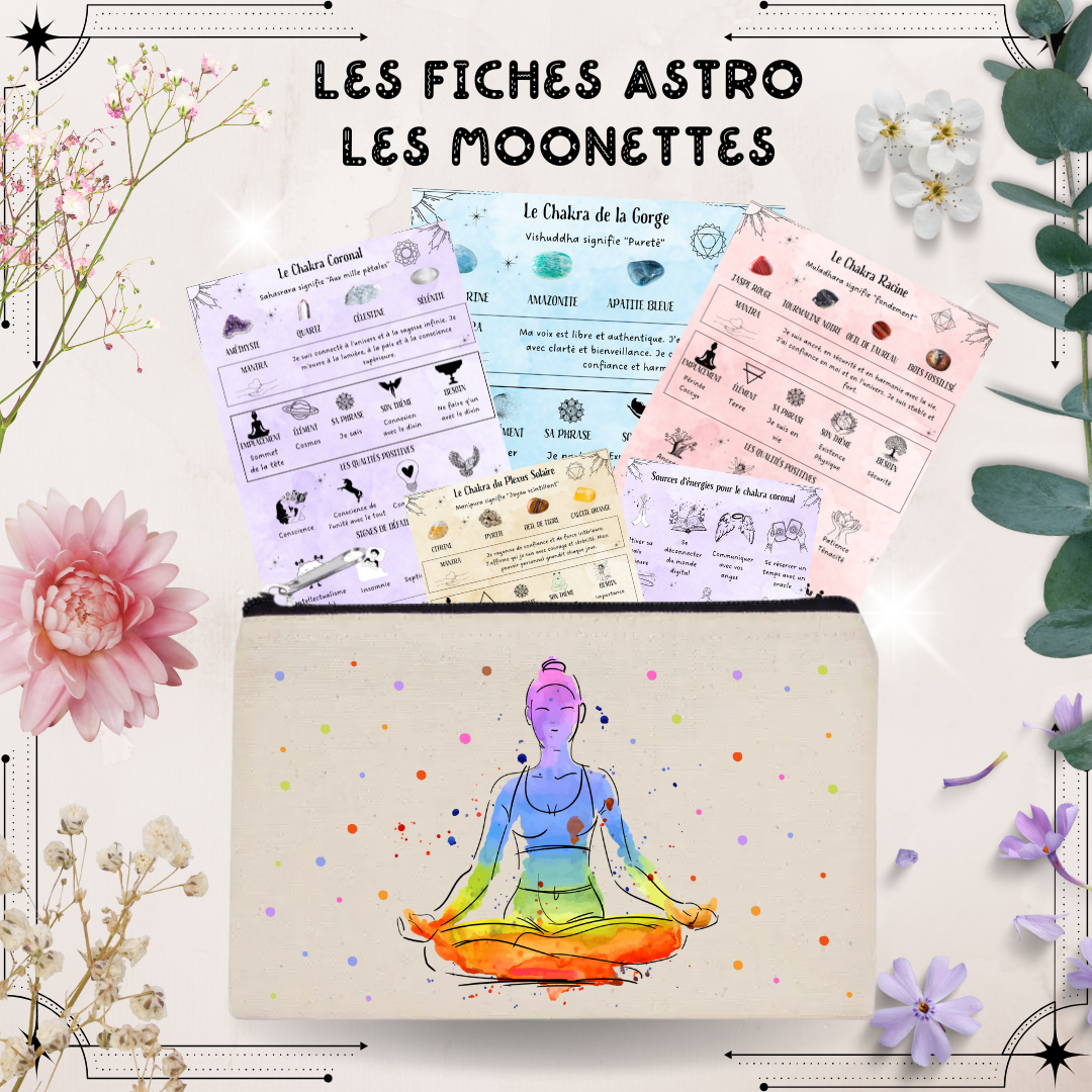 Les Moonettes - Wholesale Stationery/Notecard Set - 12 chakra and lithotherapy cards Les Moonettes + pouch1
