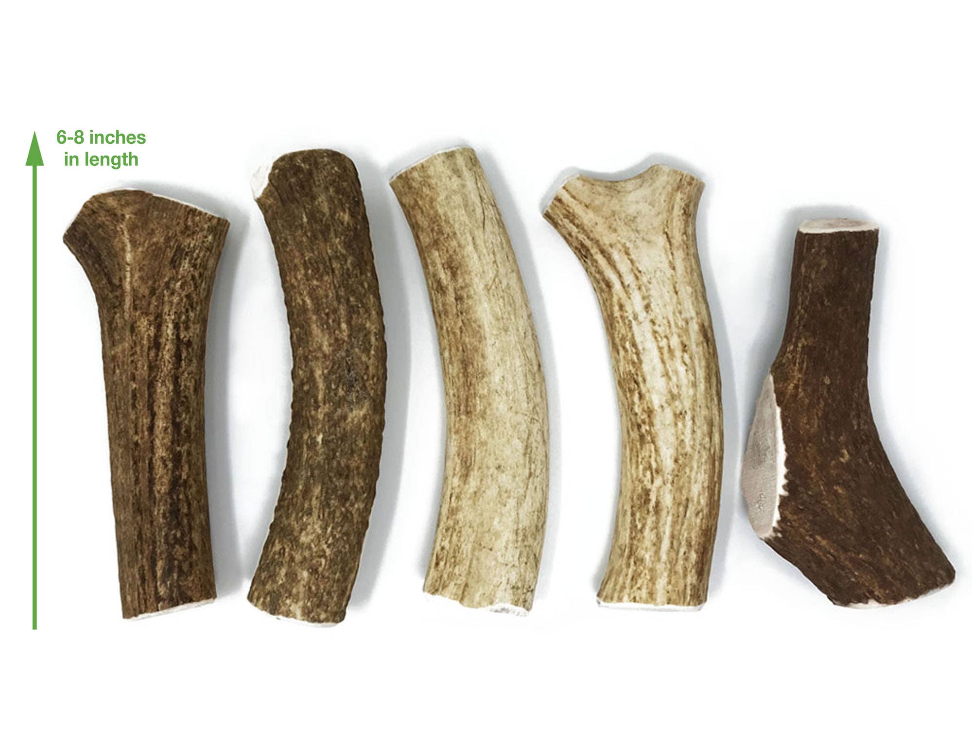 Buck Bone Organics - Wholesale Pet Chew Toy - Dog - Bulk Whole Elk Antler Dog Chews 2 LB Box4