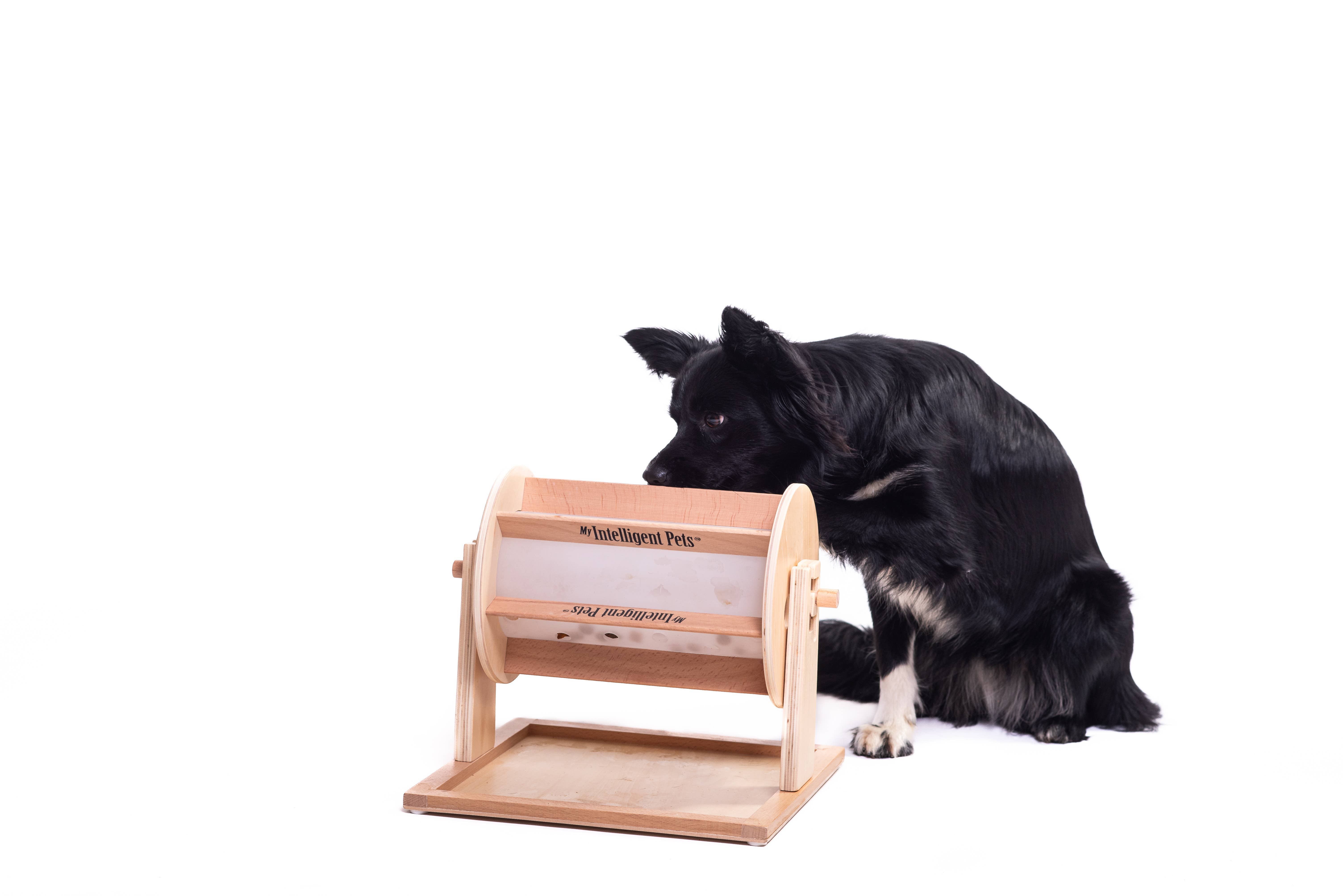 My Intelligent Dogs - Wholesale Pet Toy - Cat/Dog - Wheel of Fortune - Pet Toy of the Year - pet treat dispenser3
