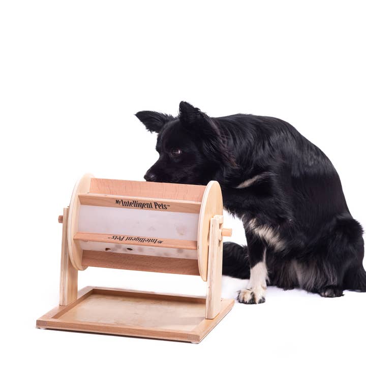 My Intelligent Dogs - Wholesale Pet Toy - Cat/Dog - Wheel of Fortune - Pet Toy of the Year - pet treat dispenser3