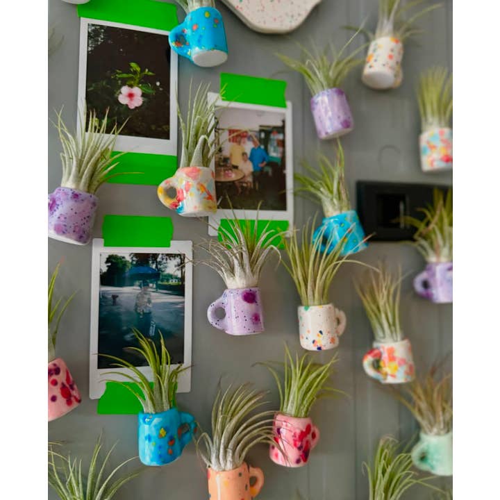 The Glazing Sun - Vente Plante - Mini tasse magnétique en forme de plante aérienne1