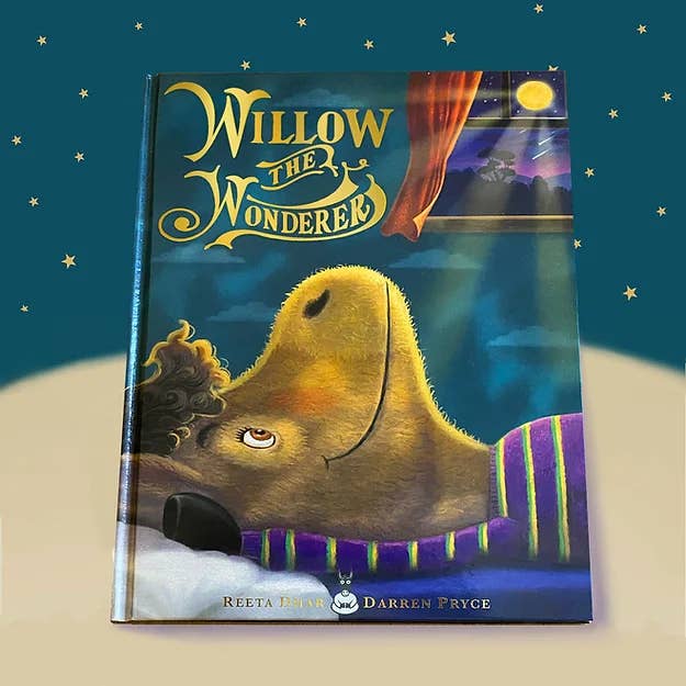 Wise As Stories - Wholesale Preschool Book (3-5) - Hardcover Book 1 : Willow the Wonderer5