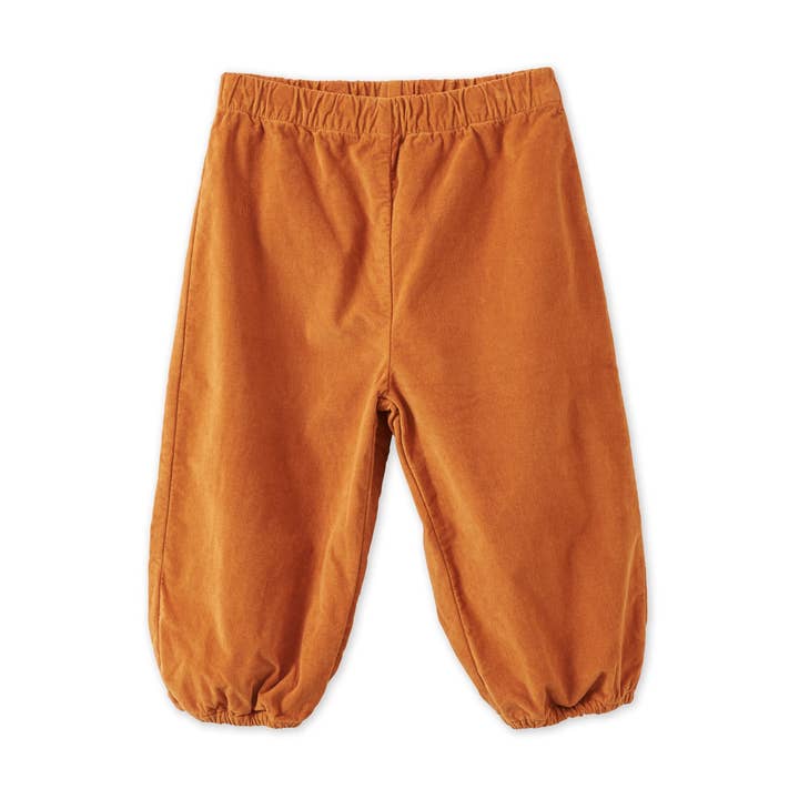 Fluwelen broek van biologisch katoen voor wholesale door Vild - House Of Little