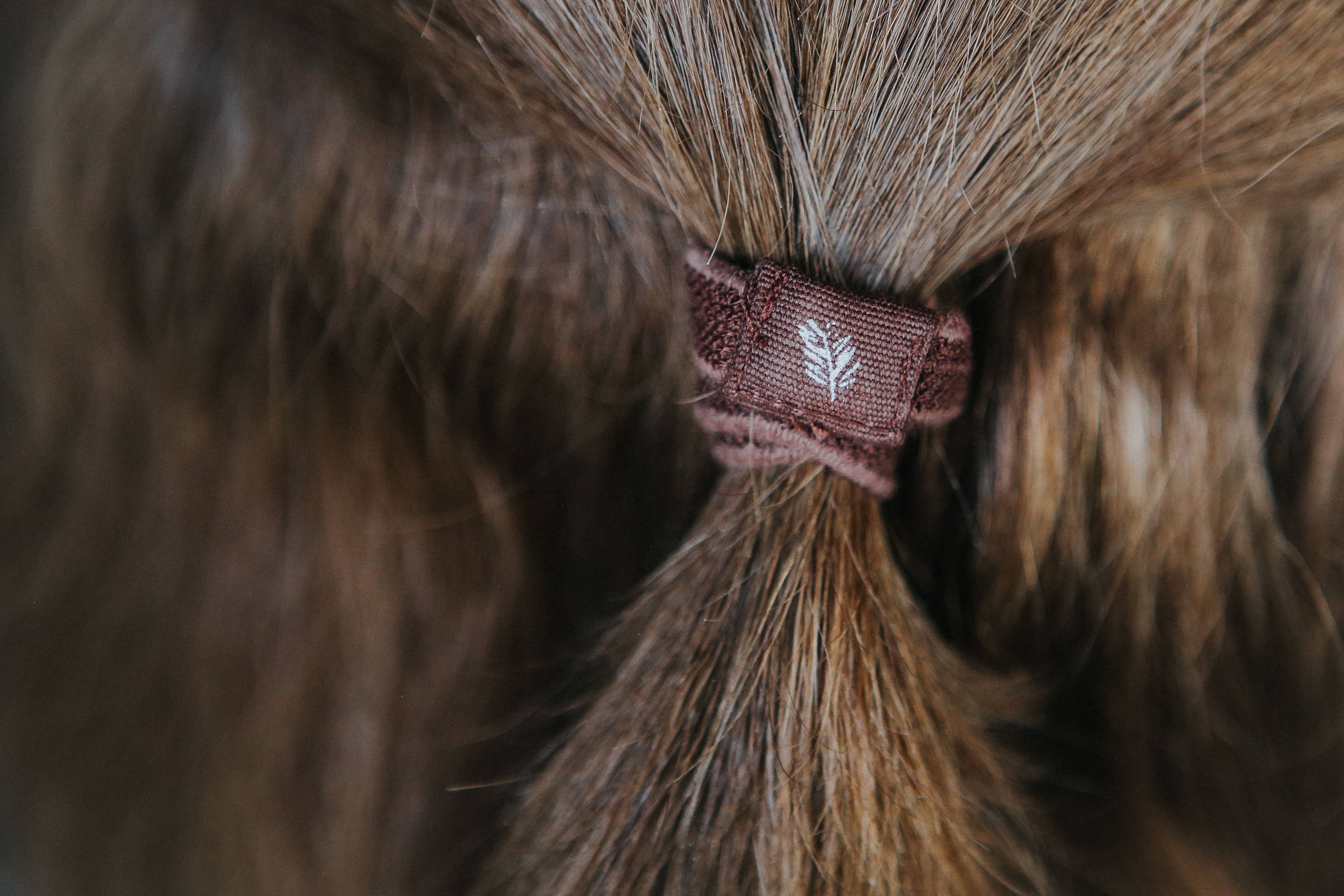 Wild and Stone - Vendita all'ingrosso Elastico per capelli - Elastici per capelli senza plastica - Confezione da 6 (naturali)2