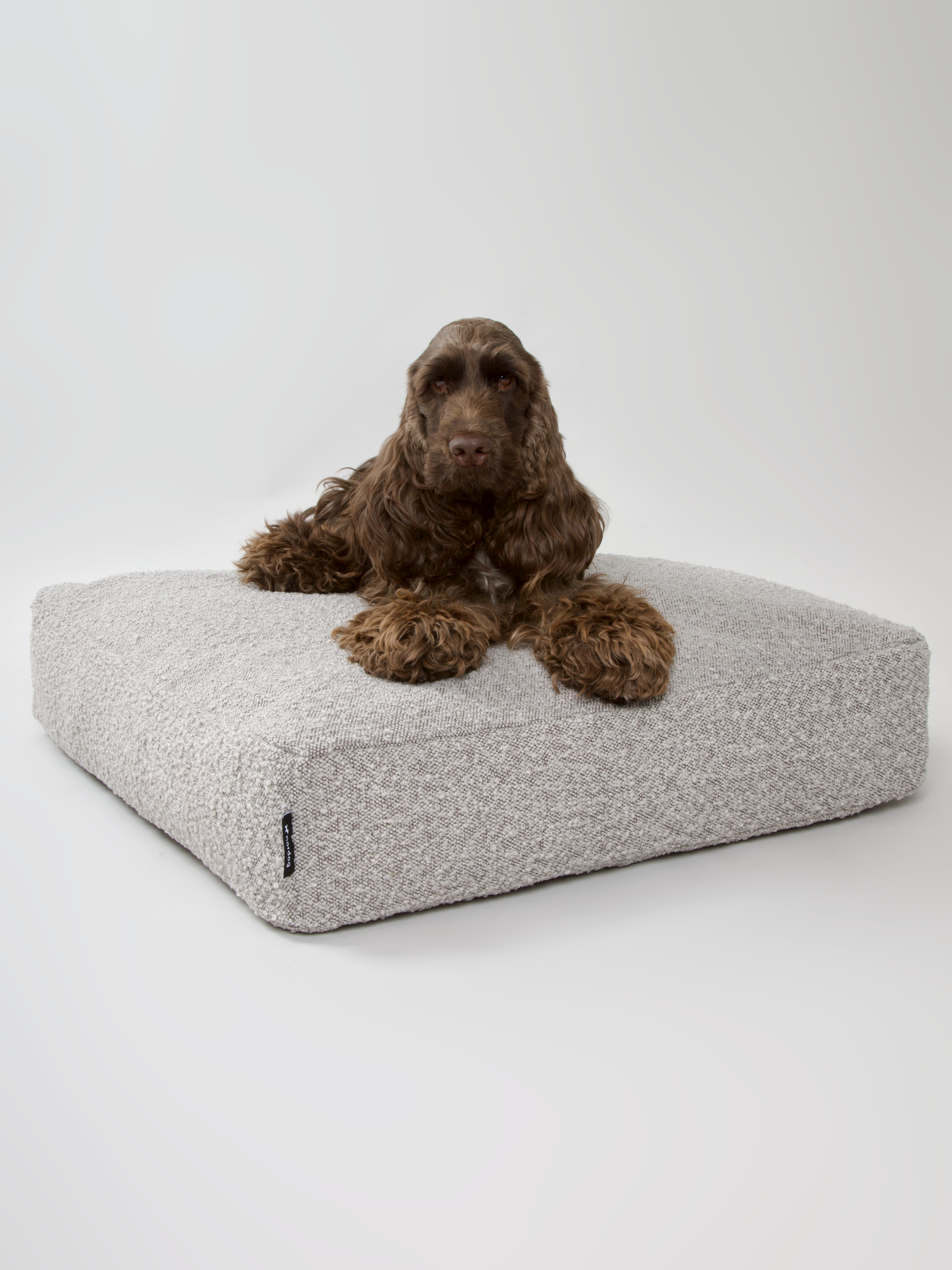 Nordog – cama - Cão por atacado – Almofada para cachorro BILLY em bouclé taupe1
