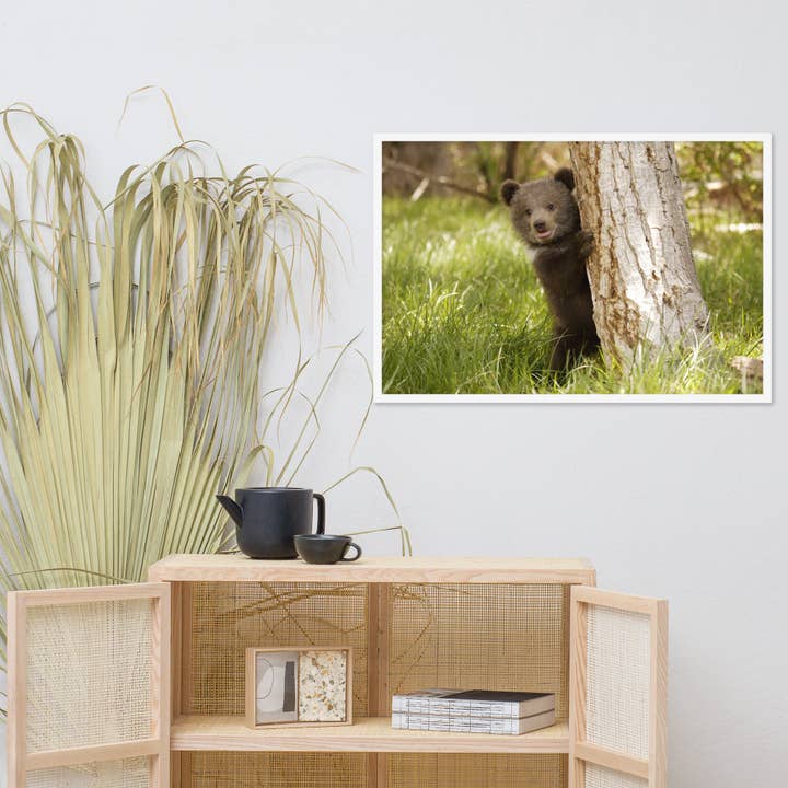 Pipa Wall Art & Home Decor - Wholesale Art Print - Cute Baby Grizzly Bear Cub Behind Tree In Meadow Framed Art19