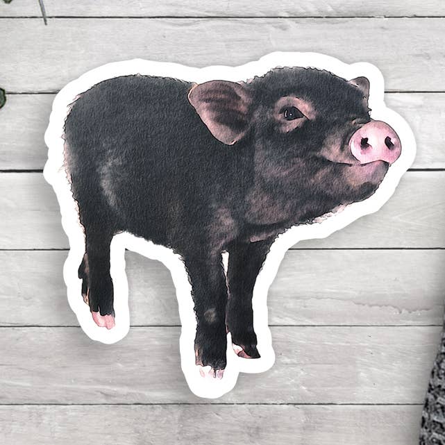 Pig Vinyl Sticker for wholesale by Expression Design Co
