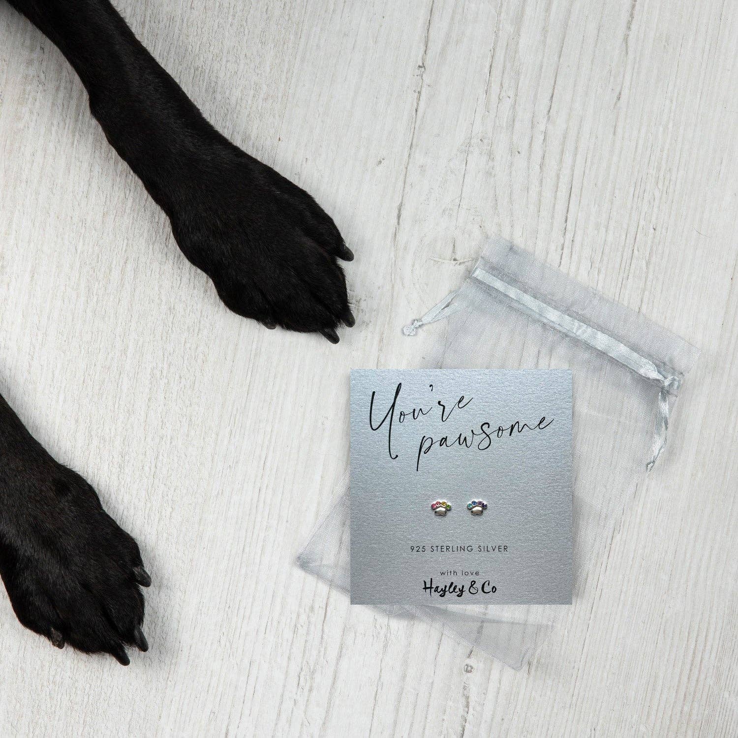 Hayley & Co - Wholesale Stud/Post Earrings - Rainbow Sparkly Paw Print Earrings2