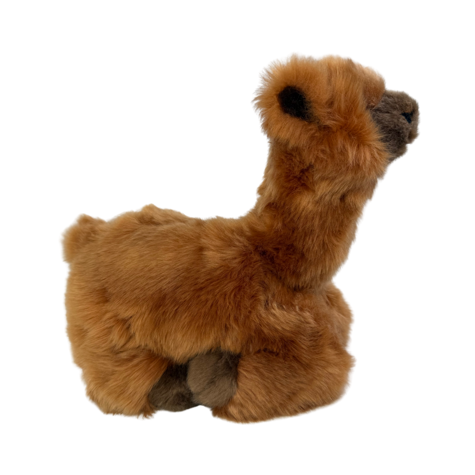 Bocchetta Plush Toys - Wholesale Stuffed/plush toy – Kids & baby - Alcapone - Alpaca - 25cm lying, brown4