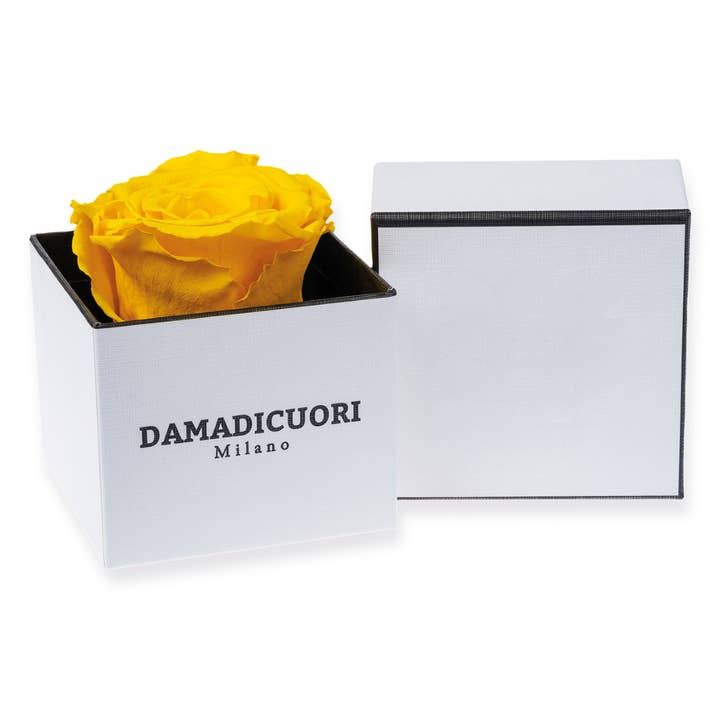 UNICA Luxusbox in Schwarz-Weiß mit echten konservierten gelben Rosen für den Großhandel von DAMADICUORI Milano