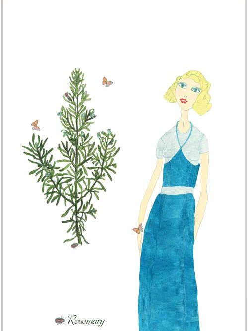 Rosemary for wholesale by Finalina