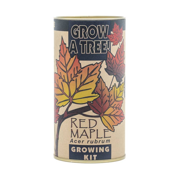 Red Maple | Seed Grow Kit for wholesale by The Jonsteen Company