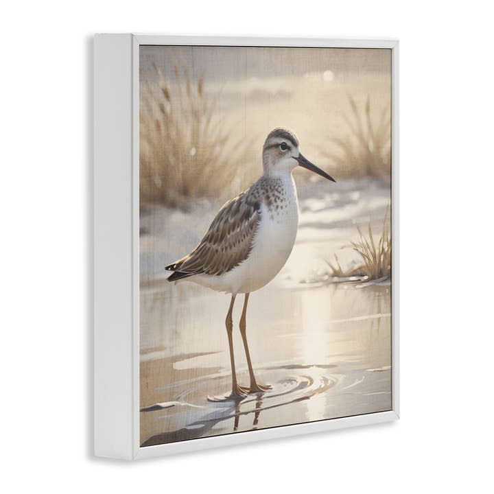 Stupell Industries – wholesale Wall sign – Sunlit Sandpiper in Shallow Water - Framed Wall Art15